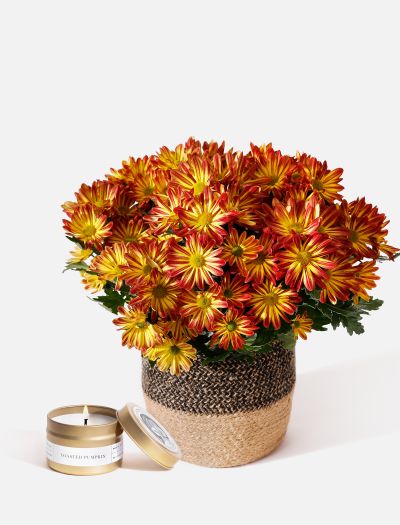 The Harvest Moon-NF-K-10029